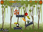 Toucan in the Jungle