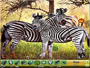 Zoo Hidden Objects 2