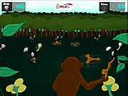 Boomerang Hunter