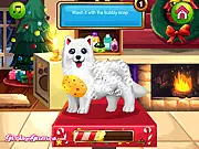 Paws to Beauty: Christmas Edition