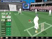Cricket Challenge