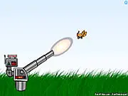 Kitten Cannon