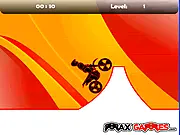 Max Dirt Bike