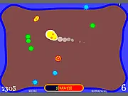 Amoeba
