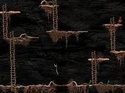 Anacondas
