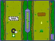 Frog Race