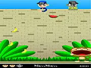 Mico Maco