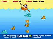 The Fisher