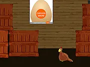 Chicken Grow