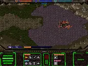 Starcraft 2008