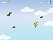 Shooting the Fly