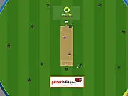 Cricket Master Blaster