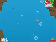 Dolphin Dive
