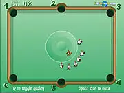 Sheep Pool