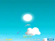 Dolphin Olympics 2