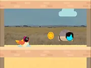 Squid Bird Jump 2D