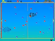 Bubble Trap