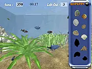 Find the Shells in Aquarium