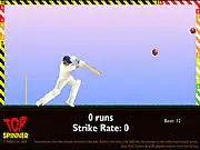 Top Spinner Cricket