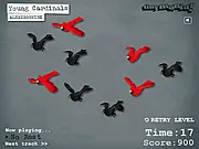 Young Cardinals