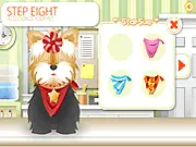 Pet-grooming Studio