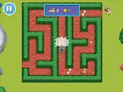 Junior Mazes