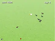 Pasture Panic
