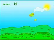 Birds Flying