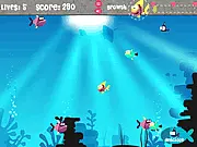Fish For Food