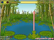 Froggie The Fly Catcher