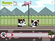 Run, Kitty, Run