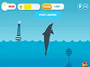 Splash Down