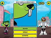 Beast Boy's Animal Quiz