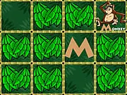 Alpha-Zoo