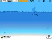 Dolphin Tag