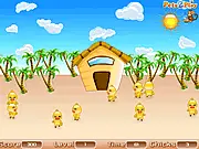 Save Chicks