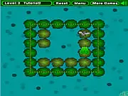 Frogfly
