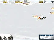 Ski Sim