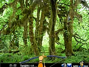 Hidden Targets-Nature