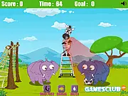 Soccer Safari