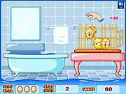 Huehnerwasser- Chicken Bath
