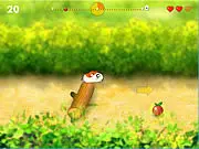Running Hamster