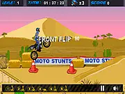 Acrobatic Rider
