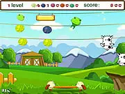 Niu Niu Bouncing
