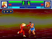 Street Fighter LoA 1/3