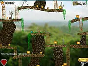 Jungle Treasures