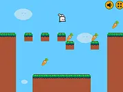 Bouncing Bunny