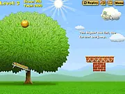 Apple Orchard