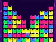 Cat Fun