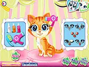 Pets Beauty Salon Flash